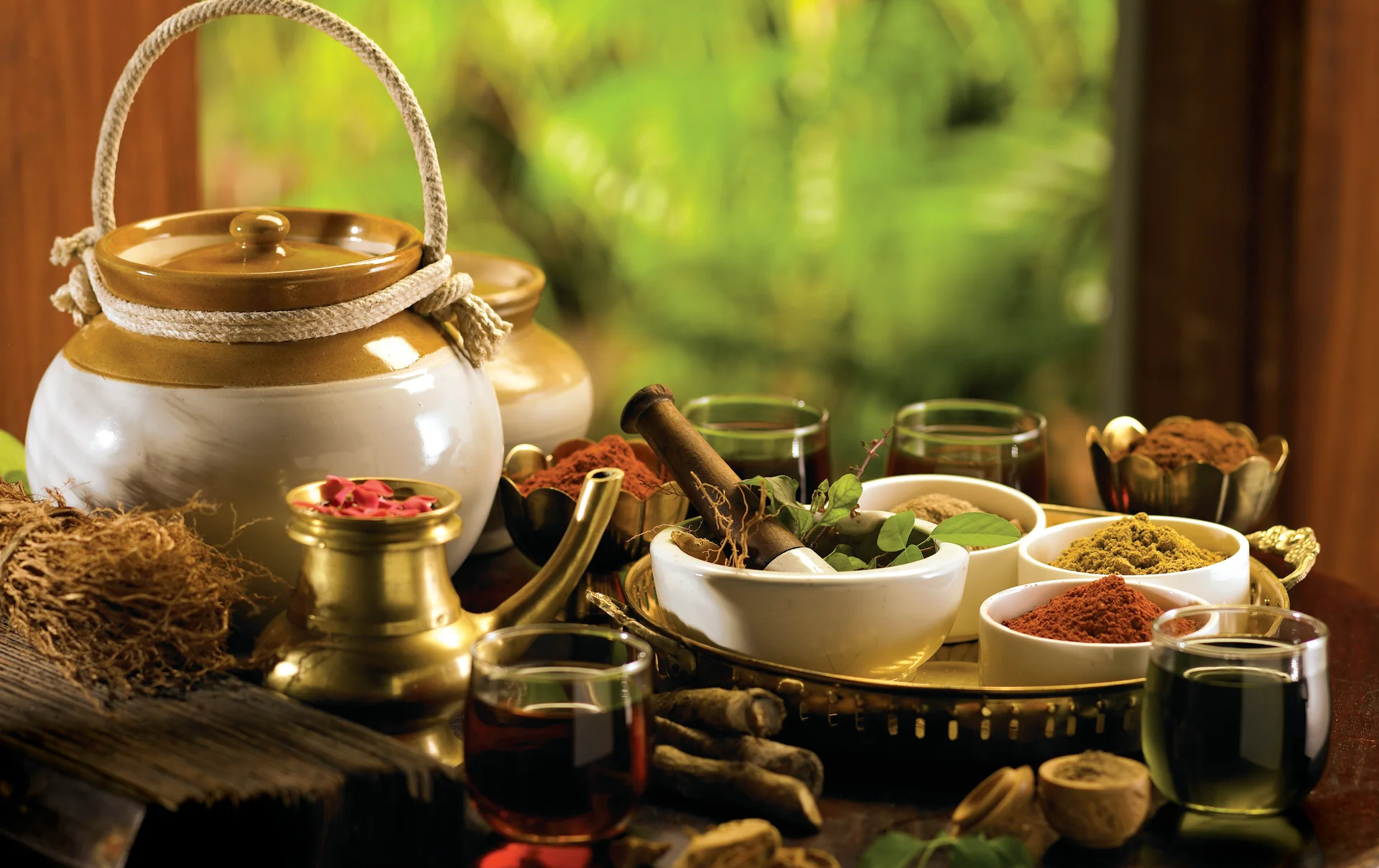 Ayurvedic Wellness